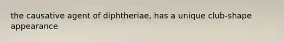 the causative agent of diphtheriae, has a unique club-shape appearance