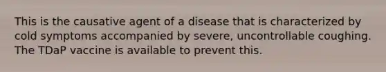 This is the causative agent of a disease that is characterized by cold symptoms accompanied by severe, uncontrollable coughing. The TDaP vaccine is available to prevent this.