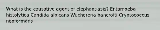 What is the causative agent of elephantiasis? Entamoeba histolytica Candida albicans Wuchereria bancrofti Cryptococcus neoformans