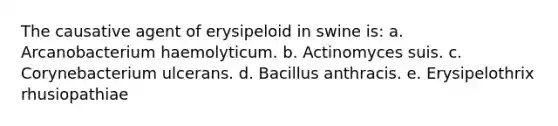 The causative agent of erysipeloid in swine is: a. Arcanobacterium haemolyticum. b. Actinomyces suis. c. Corynebacterium ulcerans. d. Bacillus anthracis. e. Erysipelothrix rhusiopathiae