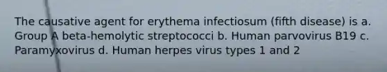 The causative agent for erythema infectiosum (fifth disease) is a. Group A beta-hemolytic streptococci b. Human parvovirus B19 c. Paramyxovirus d. Human herpes virus types 1 and 2