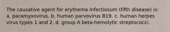 The causative agent for erythema infectiosum (fifth disease) is: a. paramyxovirus. b. human parvovirus B19. c. human herpes virus types 1 and 2. d. group A beta-hemolytic streptococci.