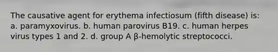 The causative agent for erythema infectiosum (fifth disease) is: a. paramyxovirus. b. human parovirus B19. c. human herpes virus types 1 and 2. d. group A β-hemolytic streptococci.