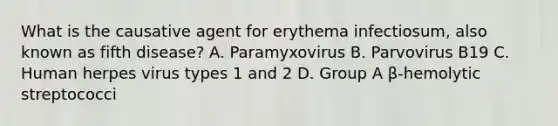 What is the causative agent for erythema infectiosum, also known as fifth disease? A. Paramyxovirus B. Parvovirus B19 C. Human herpes virus types 1 and 2 D. Group A β-hemolytic streptococci