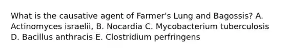 What is the causative agent of Farmer's Lung and Bagossis? A. Actinomyces israelii, B. Nocardia C. Mycobacterium tuberculosis D. Bacillus anthracis E. Clostridium perfringens