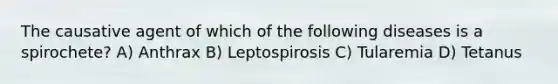 The causative agent of which of the following diseases is a spirochete? A) Anthrax B) Leptospirosis C) Tularemia D) Tetanus