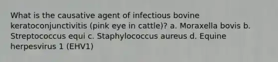 What is the causative agent of infectious bovine keratoconjunctivitis (pink eye in cattle)? a. Moraxella bovis b. Streptococcus equi c. Staphylococcus aureus d. Equine herpesvirus 1 (EHV1)