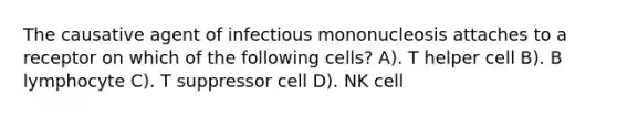 The causative agent of infectious mononucleosis attaches to a receptor on which of the following cells? A). T helper cell B). B lymphocyte C). T suppressor cell D). NK cell