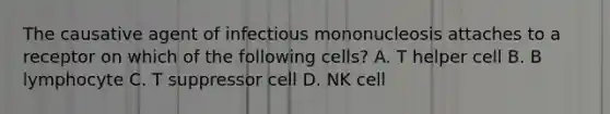 The causative agent of infectious mononucleosis attaches to a receptor on which of the following cells? A. T helper cell B. B lymphocyte C. T suppressor cell D. NK cell