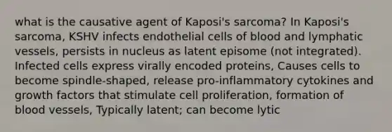 what is the causative agent of Kaposi's sarcoma? In Kaposi's sarcoma, KSHV infects endothelial cells of blood and lymphatic vessels, persists in nucleus as latent episome (not integrated). Infected cells express virally encoded proteins, Causes cells to become spindle-shaped, release pro-inflammatory cytokines and growth factors that stimulate cell proliferation, formation of blood vessels, Typically latent; can become lytic