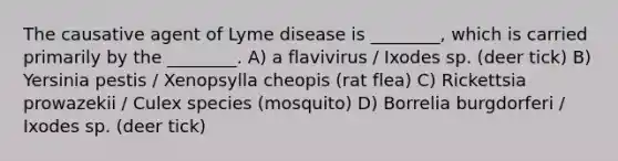 The causative agent of Lyme disease is ________, which is carried primarily by the ________. A) a flavivirus / Ixodes sp. (deer tick) B) Yersinia pestis / Xenopsylla cheopis (rat flea) C) Rickettsia prowazekii / Culex species (mosquito) D) Borrelia burgdorferi / Ixodes sp. (deer tick)