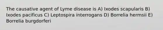 The causative agent of Lyme disease is A) Ixodes scapularis B) Ixodes pacificus C) Leptospira interrogans D) Borrelia hermsii E) Borrelia burgdorferi