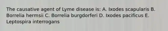 The causative agent of Lyme disease is: A. Ixodes scapularis B. Borrelia hermsii C. Borrelia burgdorferi D. Ixodes pacificus E. Leptospira interrogans