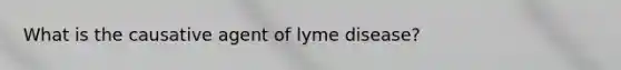 What is the causative agent of lyme disease?