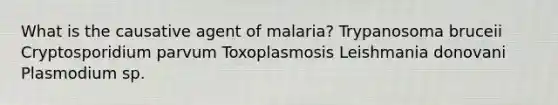 What is the causative agent of malaria? Trypanosoma bruceii Cryptosporidium parvum Toxoplasmosis Leishmania donovani Plasmodium sp.