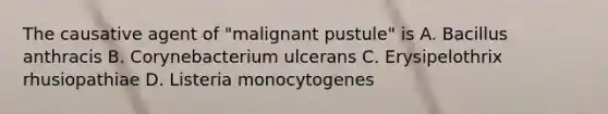 The causative agent of "malignant pustule" is A. Bacillus anthracis B. Corynebacterium ulcerans C. Erysipelothrix rhusiopathiae D. Listeria monocytogenes