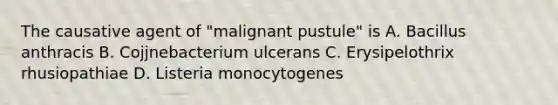 The causative agent of "malignant pustule" is A. Bacillus anthracis B. Cojjnebacterium ulcerans C. Erysipelothrix rhusiopathiae D. Listeria monocytogenes