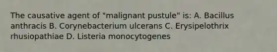 The causative agent of "malignant pustule" is: A. Bacillus anthracis B. Corynebacterium ulcerans C. Erysipelothrix rhusiopathiae D. Listeria monocytogenes