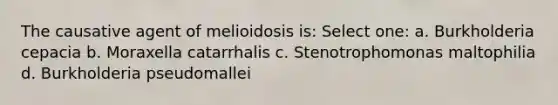 The causative agent of melioidosis is: Select one: a. Burkholderia cepacia b. Moraxella catarrhalis c. Stenotrophomonas maltophilia d. Burkholderia pseudomallei