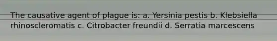 The causative agent of plague is: a. Yersinia pestis b. Klebsiella rhinoscleromatis c. Citrobacter freundii d. Serratia marcescens