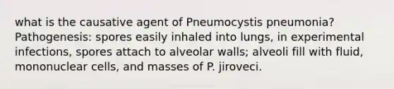 what is the causative agent of Pneumocystis pneumonia? Pathogenesis: spores easily inhaled into lungs, in experimental infections, spores attach to alveolar walls; alveoli fill with fluid, mononuclear cells, and masses of P. jiroveci.