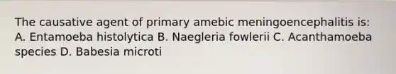 The causative agent of primary amebic meningoencephalitis is: A. Entamoeba histolytica B. Naegleria fowlerii C. Acanthamoeba species D. Babesia microti