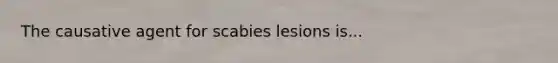 The causative agent for scabies lesions is...