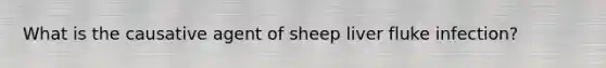 What is the causative agent of sheep liver fluke infection?