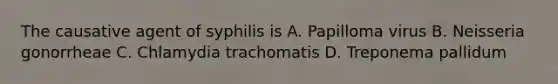 The causative agent of syphilis is A. Papilloma virus B. Neisseria gonorrheae C. Chlamydia trachomatis D. Treponema pallidum