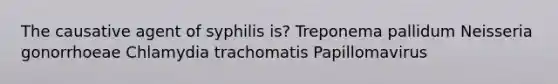 The causative agent of syphilis is? Treponema pallidum Neisseria gonorrhoeae Chlamydia trachomatis Papillomavirus