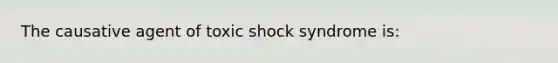 The causative agent of toxic shock syndrome is: