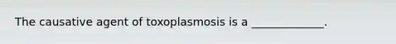 The causative agent of toxoplasmosis is a _____________.