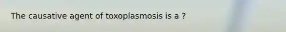 The causative agent of toxoplasmosis is a ?