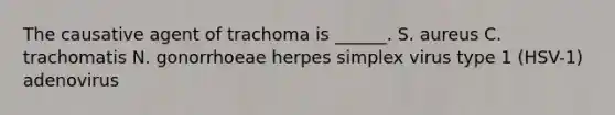 The causative agent of trachoma is ______. S. aureus C. trachomatis N. gonorrhoeae herpes simplex virus type 1 (HSV-1) adenovirus