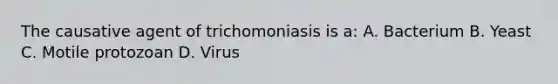 The causative agent of trichomoniasis is a: A. Bacterium B. Yeast C. Motile protozoan D. Virus