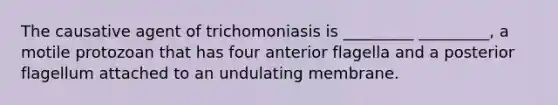 The causative agent of trichomoniasis is _________ _________, a motile protozoan that has four anterior flagella and a posterior flagellum attached to an undulating membrane.