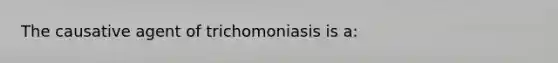 The causative agent of trichomoniasis is a: