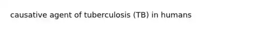 causative agent of tuberculosis (TB) in humans