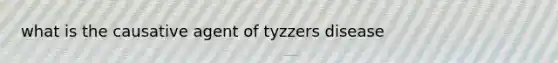 what is the causative agent of tyzzers disease