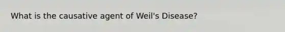 What is the causative agent of Weil's Disease?