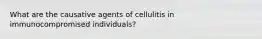 What are the causative agents of cellulitis in immunocompromised individuals?