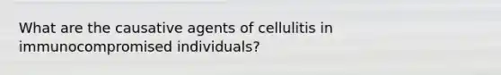 What are the causative agents of cellulitis in immunocompromised individuals?