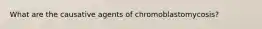 What are the causative agents of chromoblastomycosis?