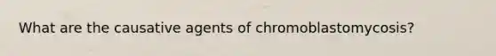 What are the causative agents of chromoblastomycosis?