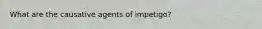 What are the causative agents of impetigo?