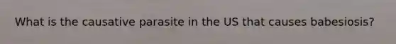What is the causative parasite in the US that causes babesiosis?