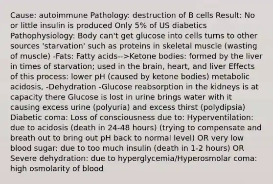 Cause: autoimmune Pathology: destruction of B cells Result: No or little insulin is produced Only 5% of US diabetics Pathophysiology: Body can't get glucose into cells turns to other sources 'starvation' such as proteins in skeletal muscle (wasting of muscle) -Fats: Fatty acids-->Ketone bodies: formed by the liver in times of starvation; used in the brain, heart, and liver Effects of this process: lower pH (caused by ketone bodies) metabolic acidosis, -Dehydration -Glucose reabsorption in the kidneys is at capacity there Glucose is lost in urine brings water with it causing excess urine (polyuria) and excess thirst (polydipsia) Diabetic coma: Loss of consciousness due to: Hyperventilation: due to acidosis (death in 24-48 hours) (trying to compensate and breath out to bring out pH back to normal level) OR very low blood sugar: due to too much insulin (death in 1-2 hours) OR Severe dehydration: due to hyperglycemia/Hyperosmolar coma: high osmolarity of blood