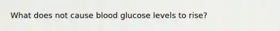 What does not cause blood glucose levels to rise?