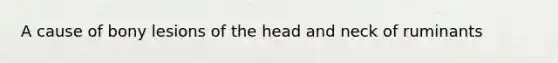 A cause of bony lesions of the head and neck of ruminants