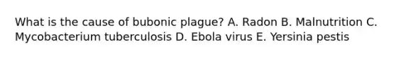 What is the cause of bubonic plague? A. Radon B. Malnutrition C. Mycobacterium tuberculosis D. Ebola virus E. Yersinia pestis